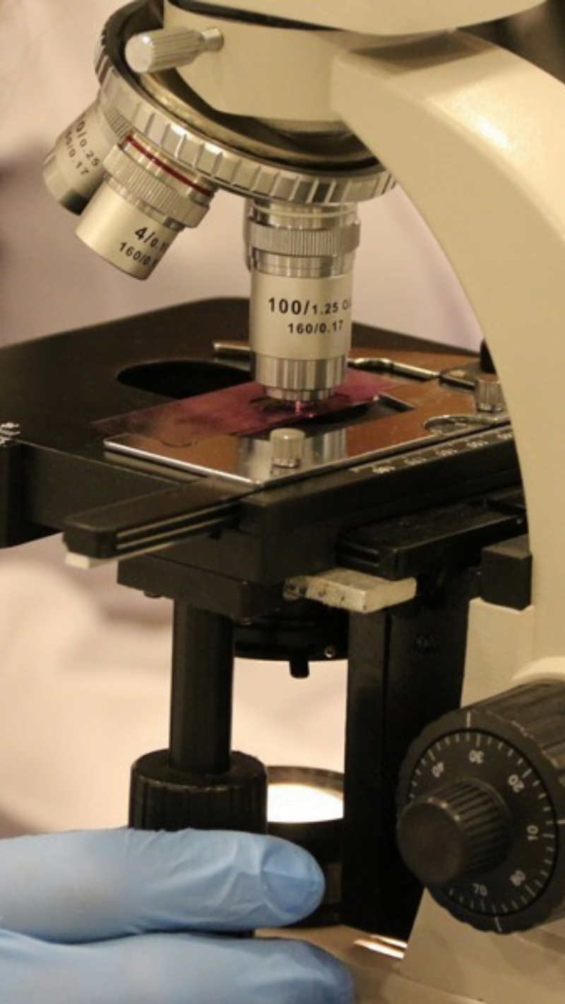 istanbulTopkapiUnivercityApplyPhoto1